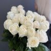 Розы Эквадор 70см белые 23шт