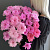 11 розовых хризантем